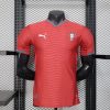 france national team 2026 world cup home jersey (player version / official version)